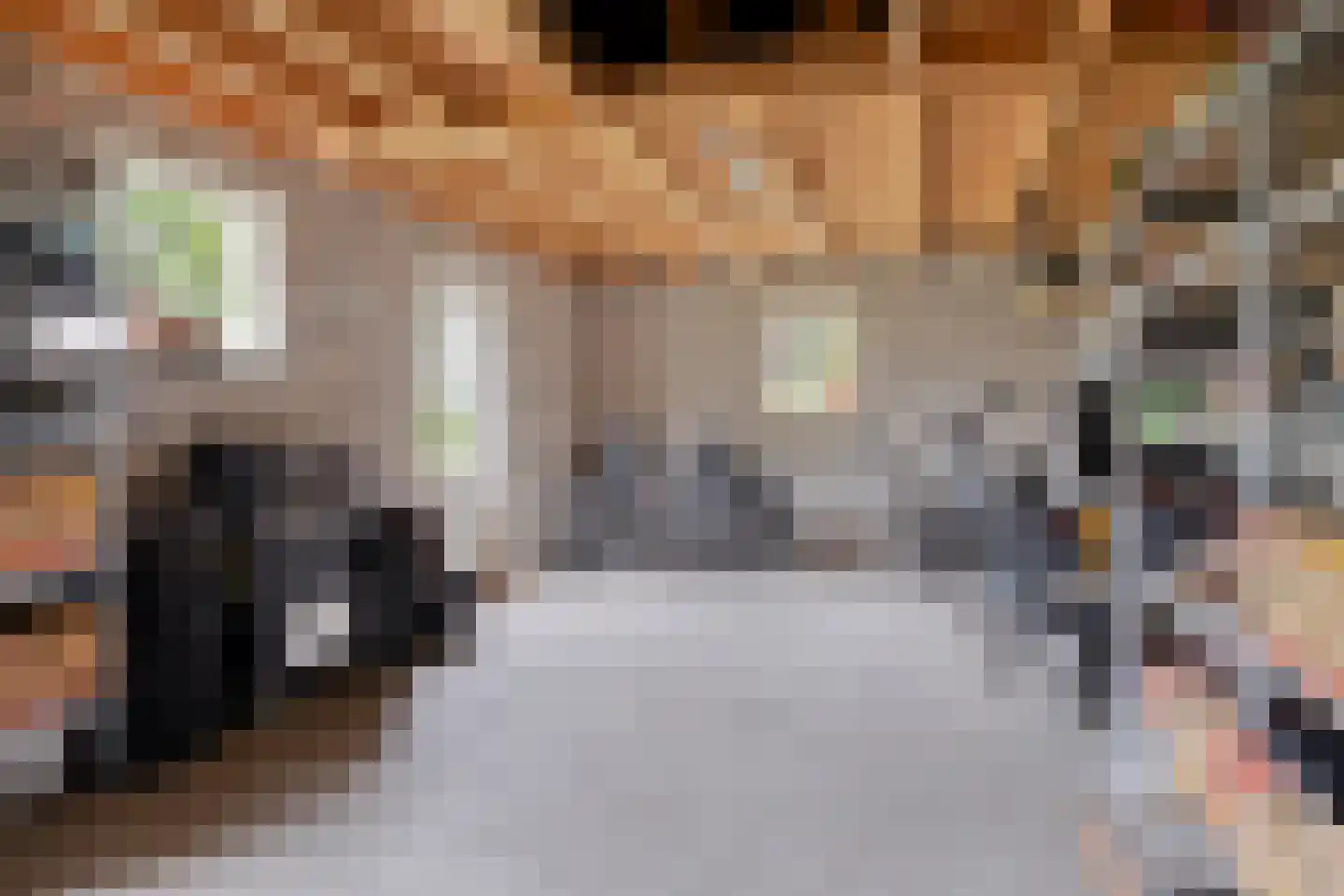 Woudseweg 7 Den Dungen thumbnail 34