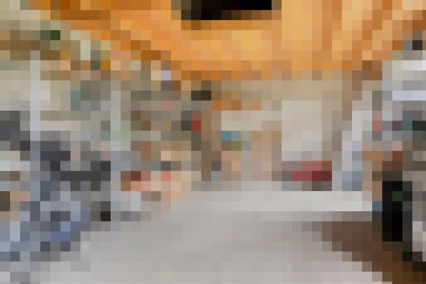 Woudseweg 7 Den Dungen thumbnail 35