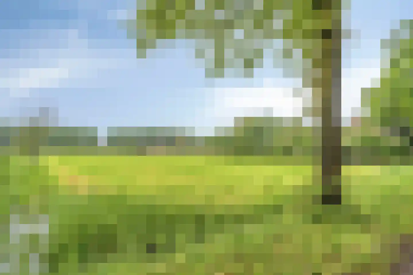 Woudseweg 7 Den Dungen thumbnail 37