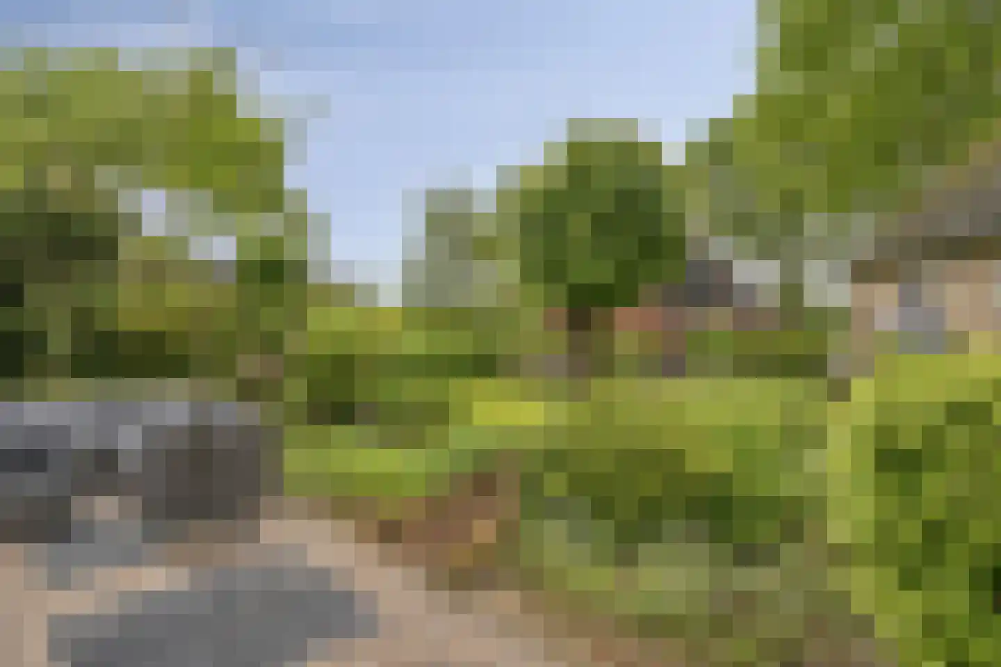Woudseweg 7 Den Dungen thumbnail 7