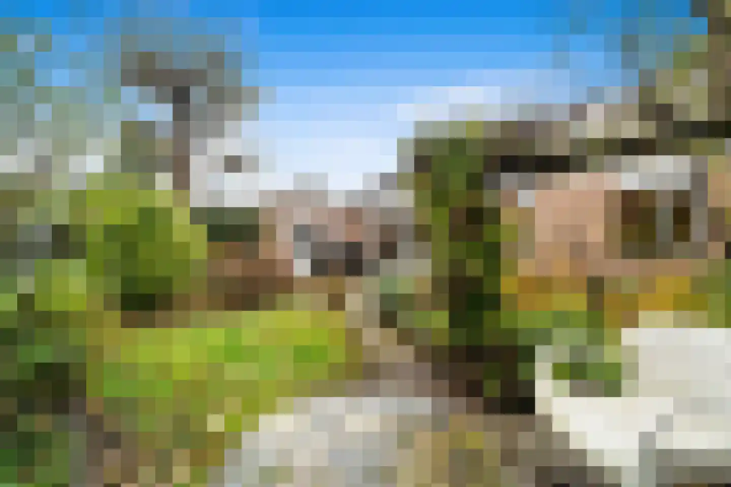 Woudseweg 8 Den Hoorn thumbnail 24