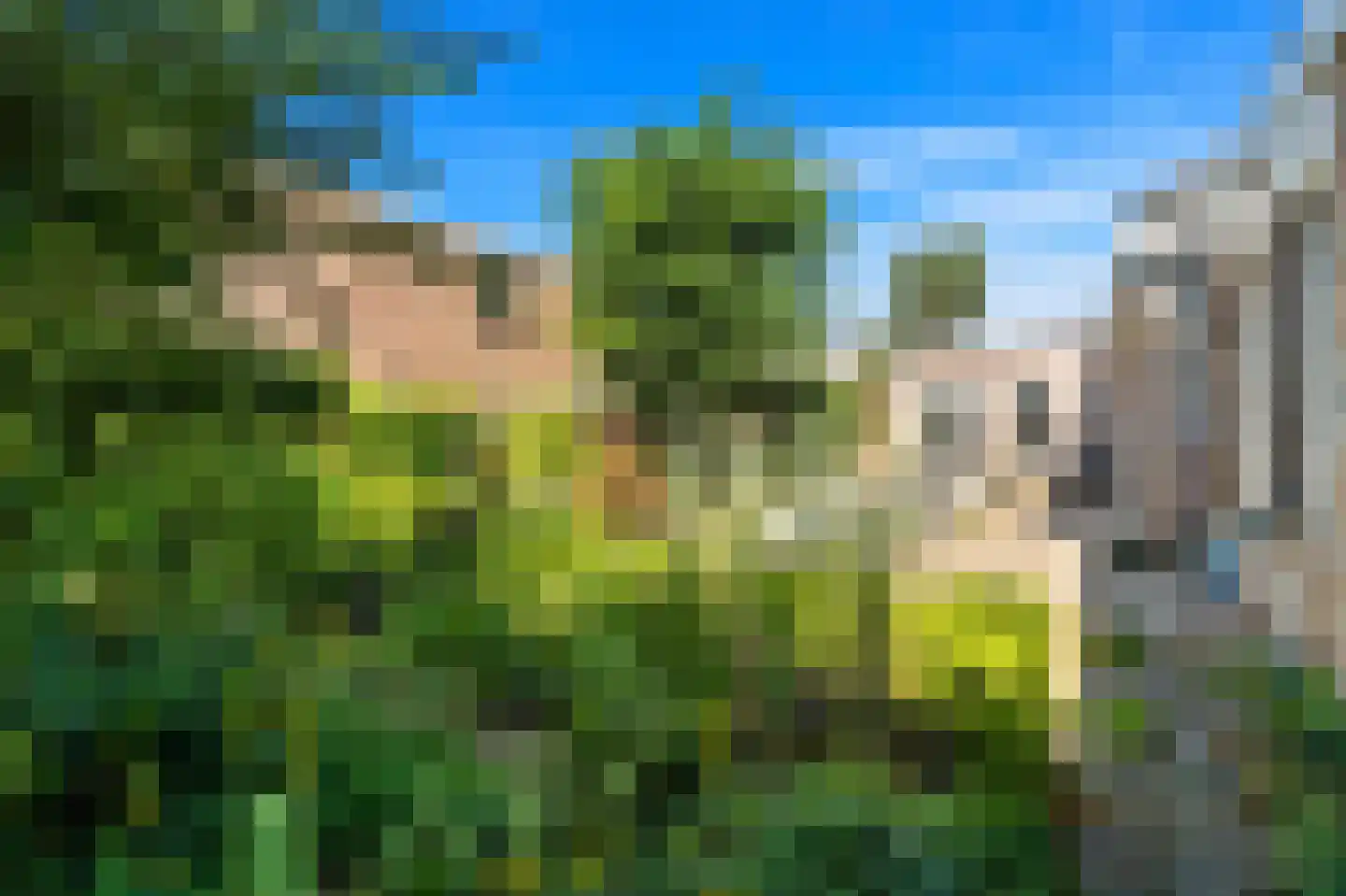 Woudseweg 8 Den Hoorn thumbnail 30
