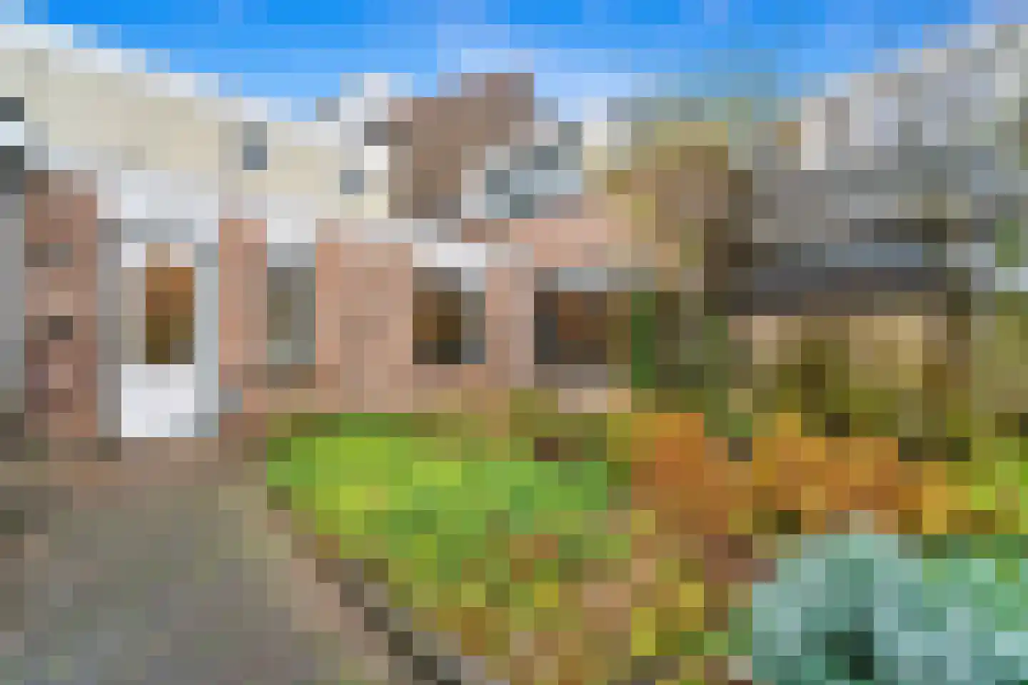 Woudseweg 8 Den Hoorn thumbnail 31