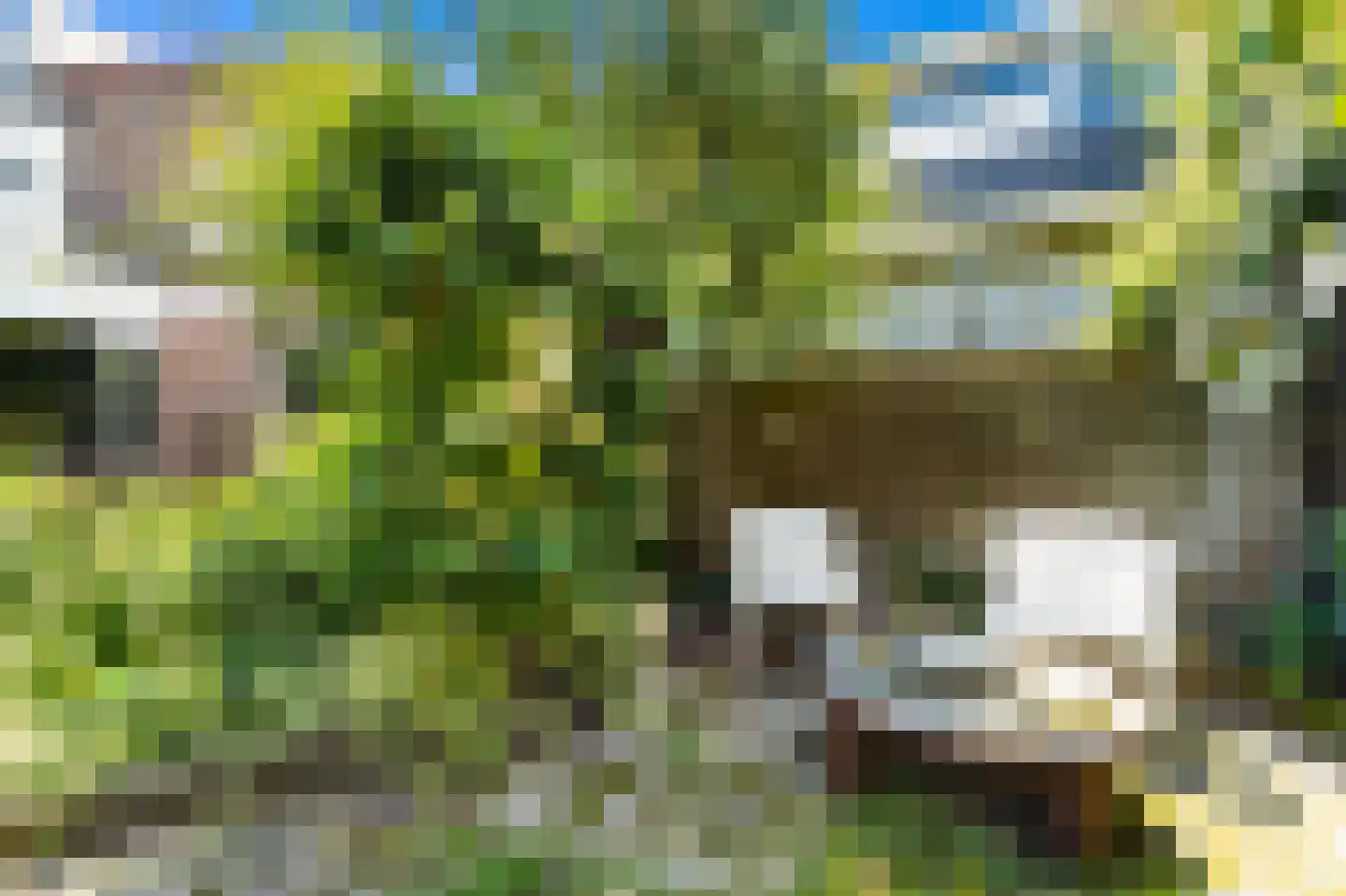 Woudseweg 8 Den Hoorn thumbnail 32