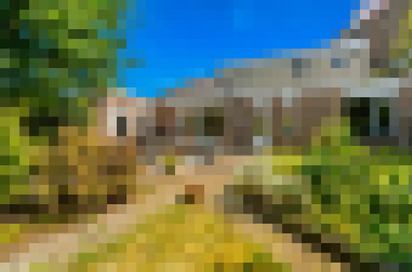 Woudseweg 8 Den Hoorn thumbnail 36