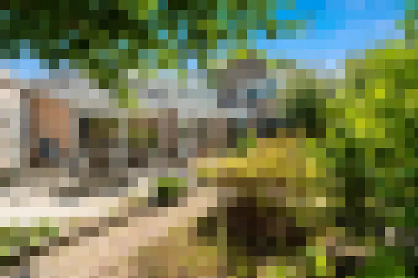 Woudseweg 8 Den Hoorn thumbnail 38