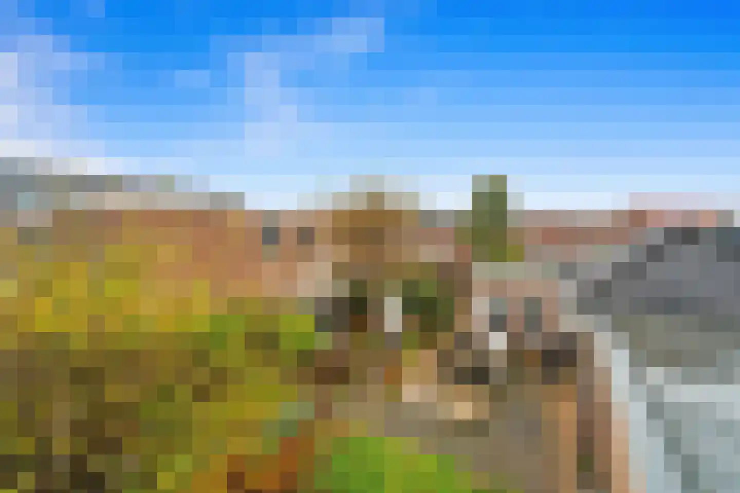 Woudseweg 8 Den Hoorn thumbnail 4