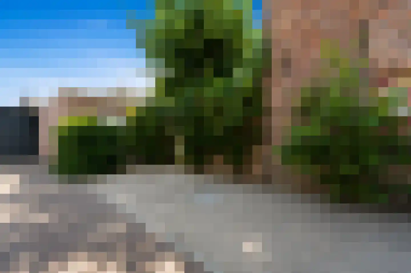 Woudseweg 8 Den Hoorn thumbnail 5