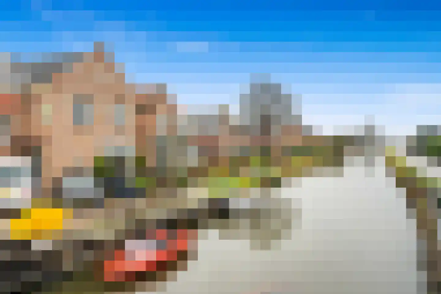 Woudseweg 8 Den Hoorn thumbnail 72