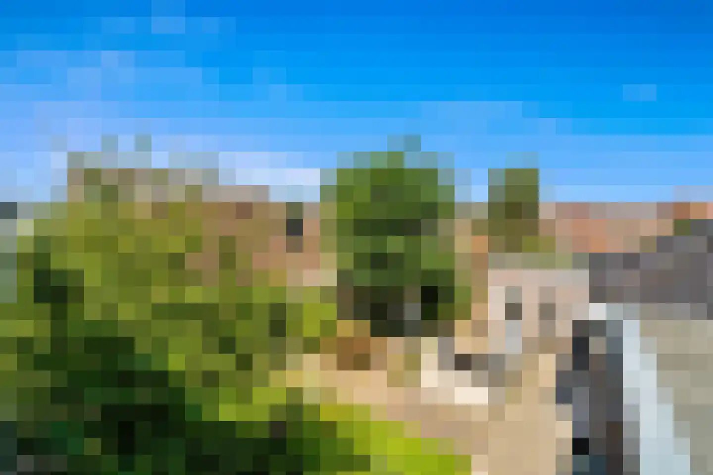 Woudseweg 8 Den Hoorn thumbnail 76