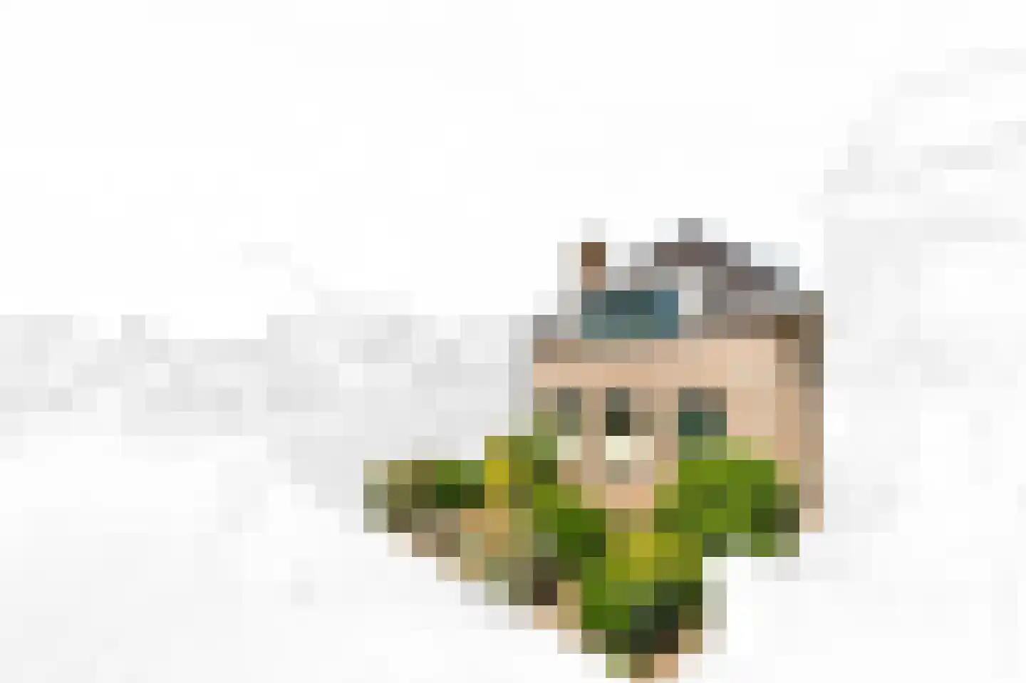 Woudseweg 8 Den Hoorn thumbnail 8