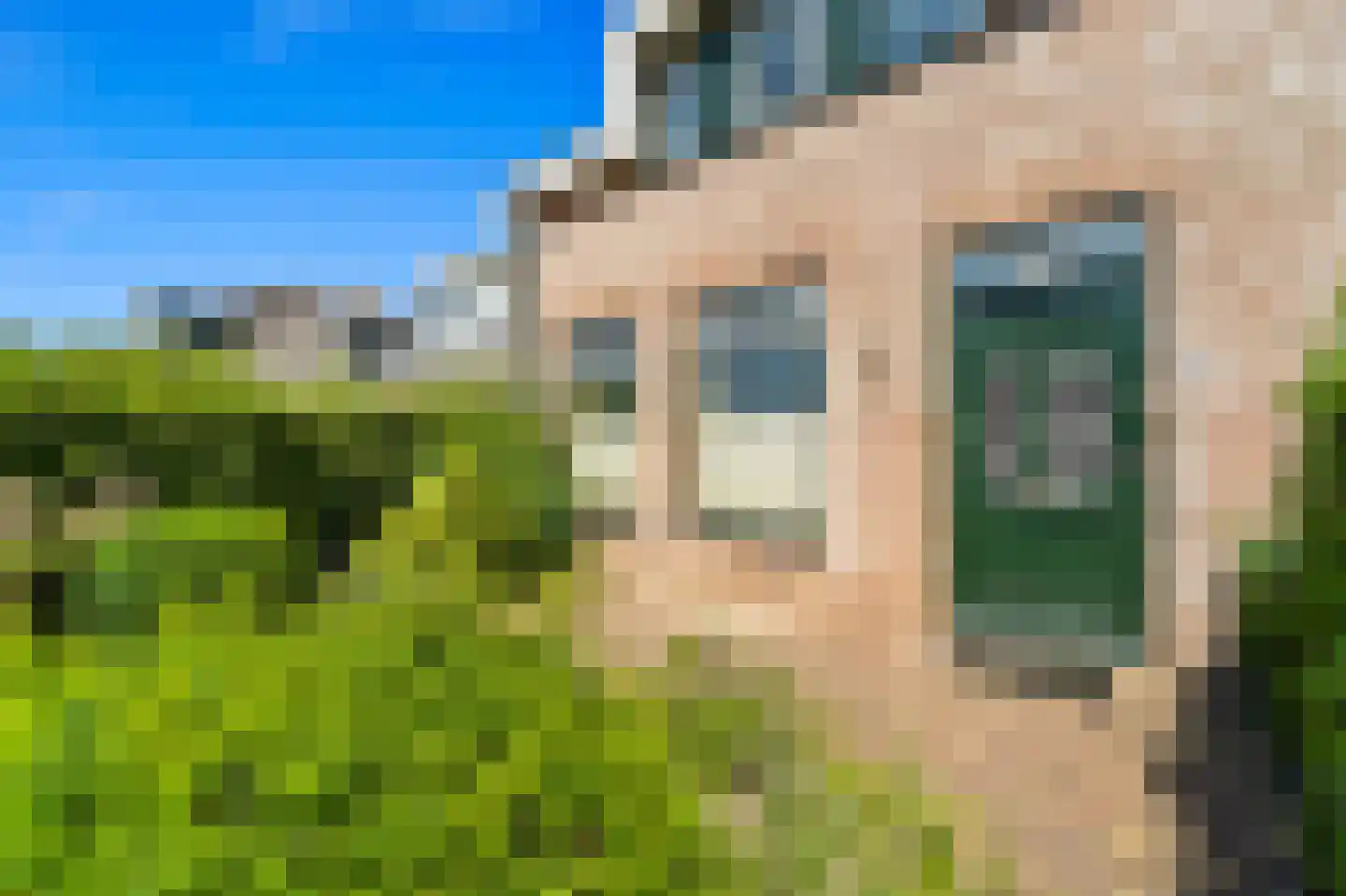 Woudseweg 8 Den Hoorn thumbnail 9