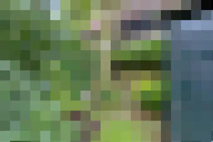 Woudsterweg 32 Heerenveen thumbnail 32