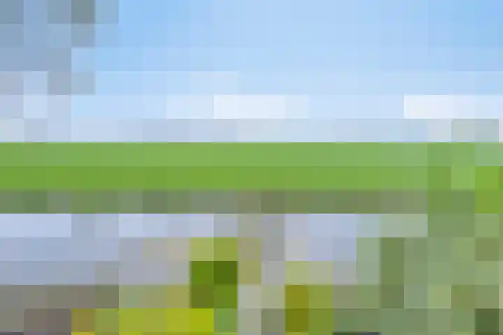 Woudsterweg 32 Heerenveen thumbnail 35
