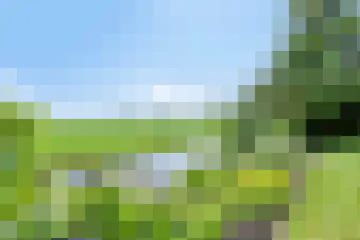 Woudsterweg 32 Heerenveen thumbnail 36