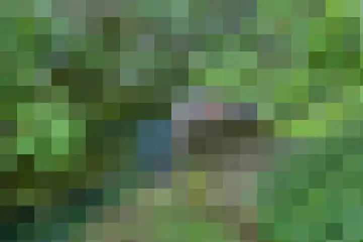 Woudsterweg 32 Heerenveen thumbnail 38
