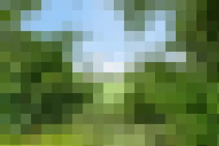 Woudsterweg 32 Heerenveen thumbnail 45
