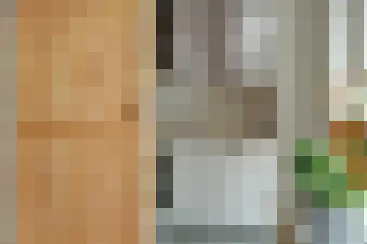 Woudstraat 7 Gouda thumbnail 10