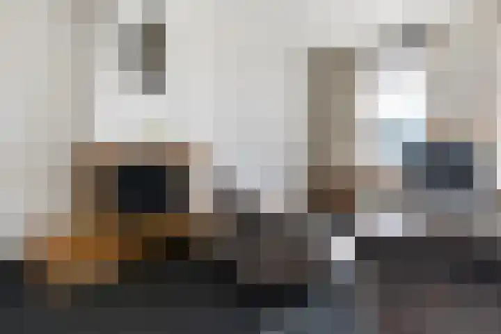 Woudvaartkade 60 Sneek thumbnail 10