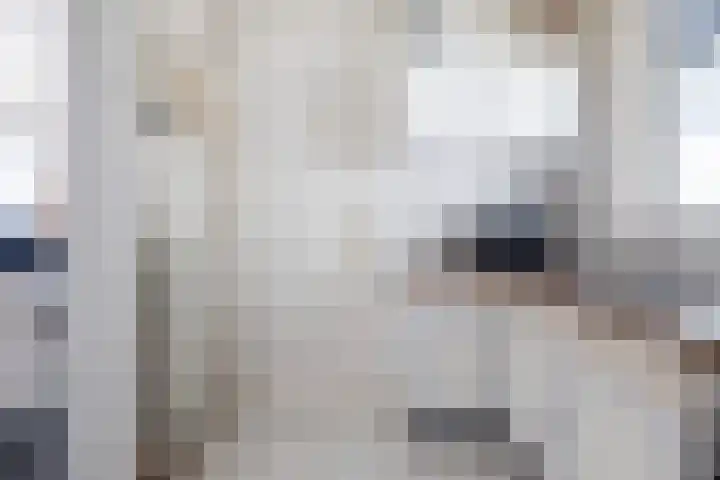 Woudvaartkade 60 Sneek thumbnail 11
