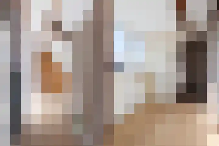 Woudvaartkade 60 Sneek thumbnail 17