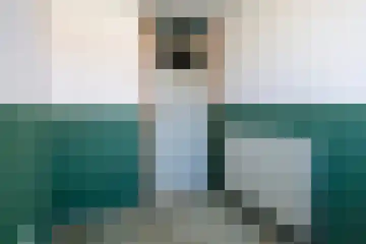 Woudvaartkade 60 Sneek thumbnail 22