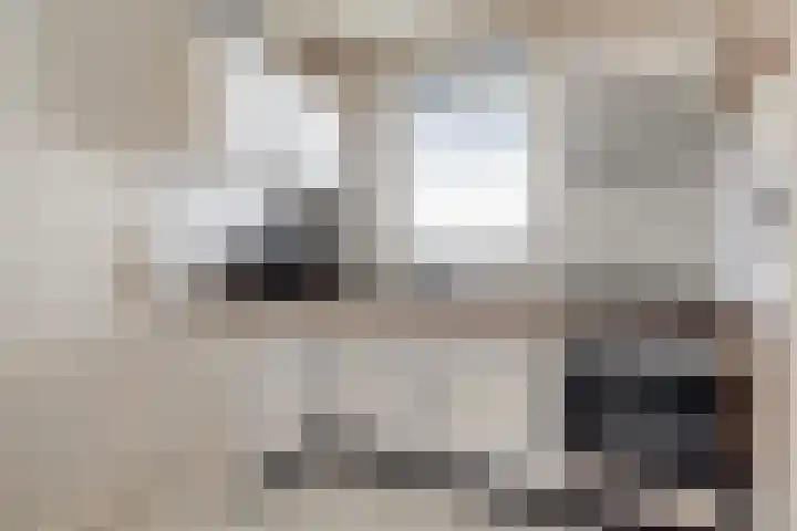 Woudvaartkade 60 Sneek thumbnail 5
