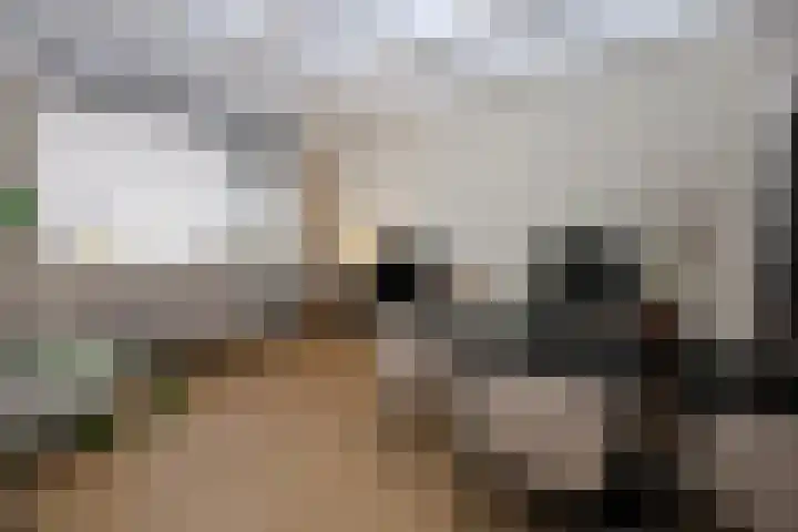 Woudvaartkade 64 Sneek thumbnail 10