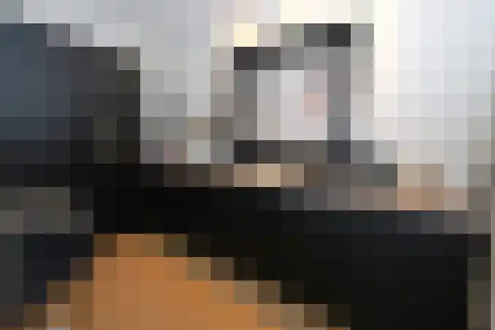 Woudvaartkade 64 Sneek thumbnail 13