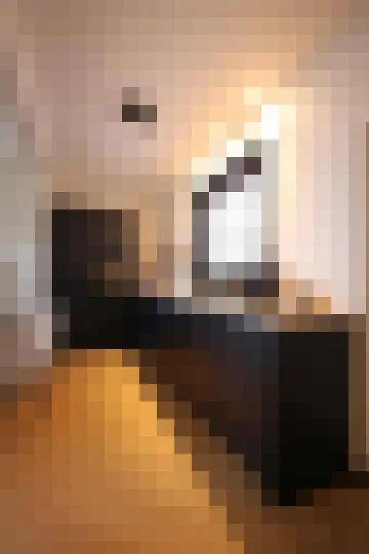 Woudvaartkade 64 Sneek thumbnail 14