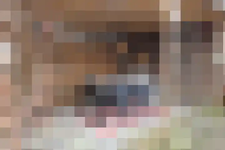 Woudvaartkade 64 Sneek thumbnail 21