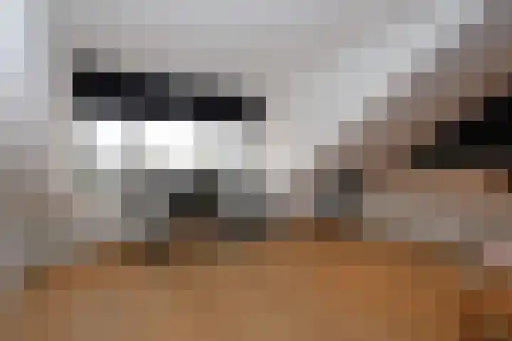 Woudvaartkade 64 Sneek thumbnail 28