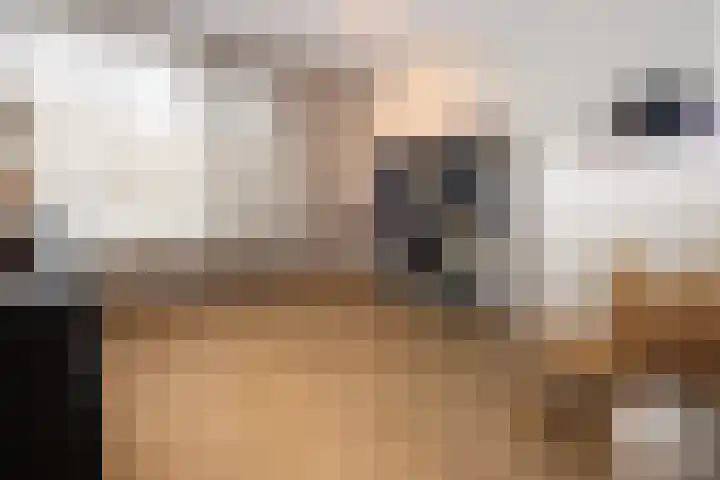 Woudvaartkade 64 Sneek thumbnail 31