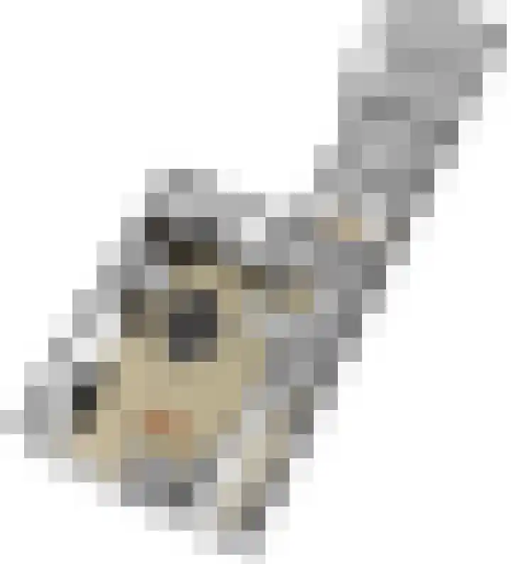 Woudvaartkade 64 Sneek thumbnail 39