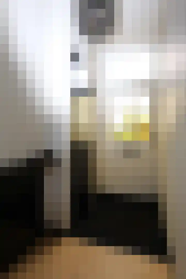 Woudvaartkade 64 Sneek thumbnail 6