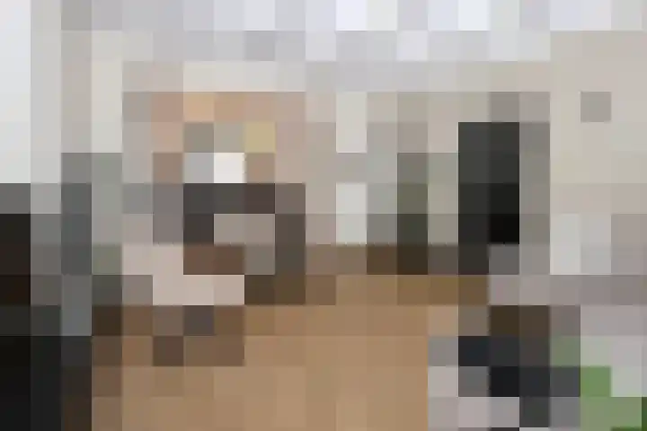 Woudvaartkade 64 Sneek thumbnail 8