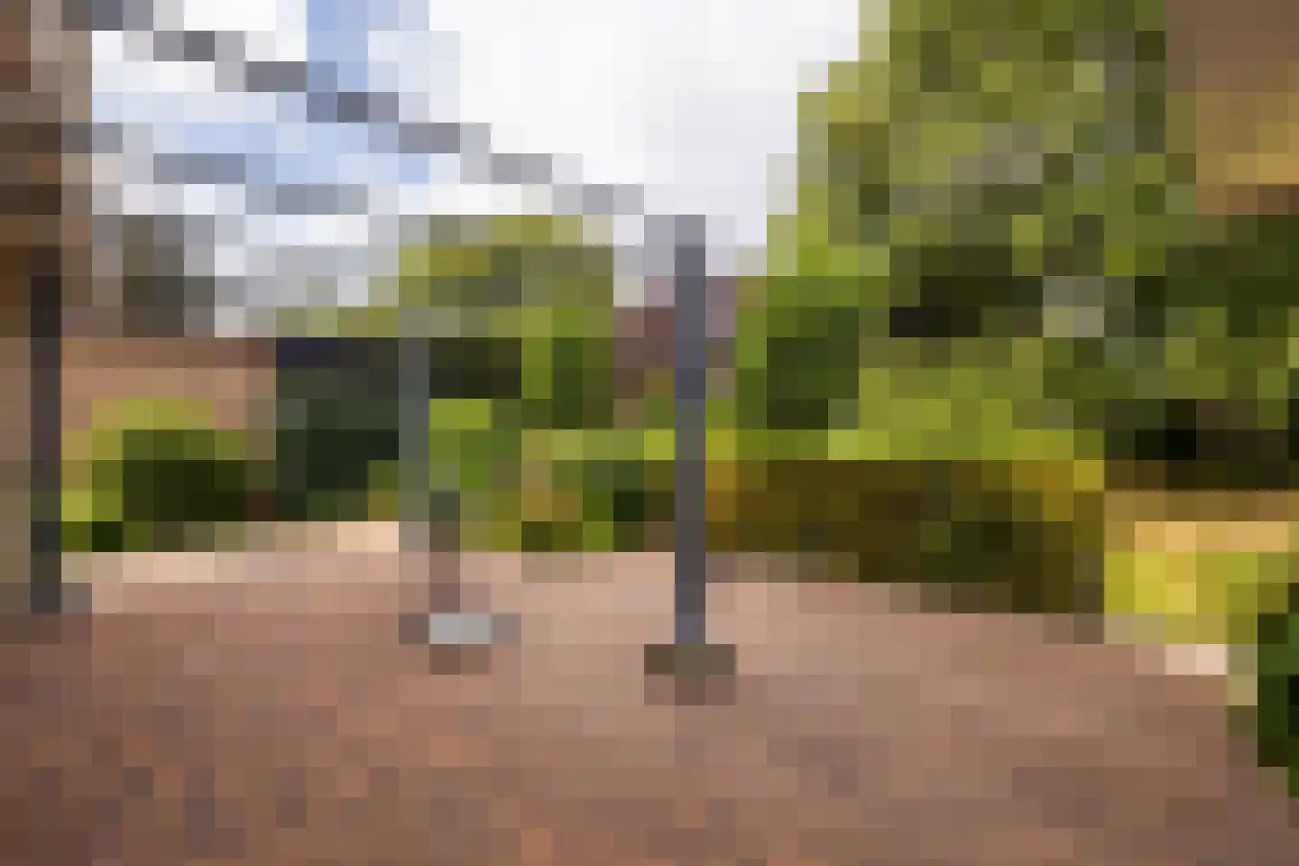 Woudveen 5 Wateringen thumbnail 37