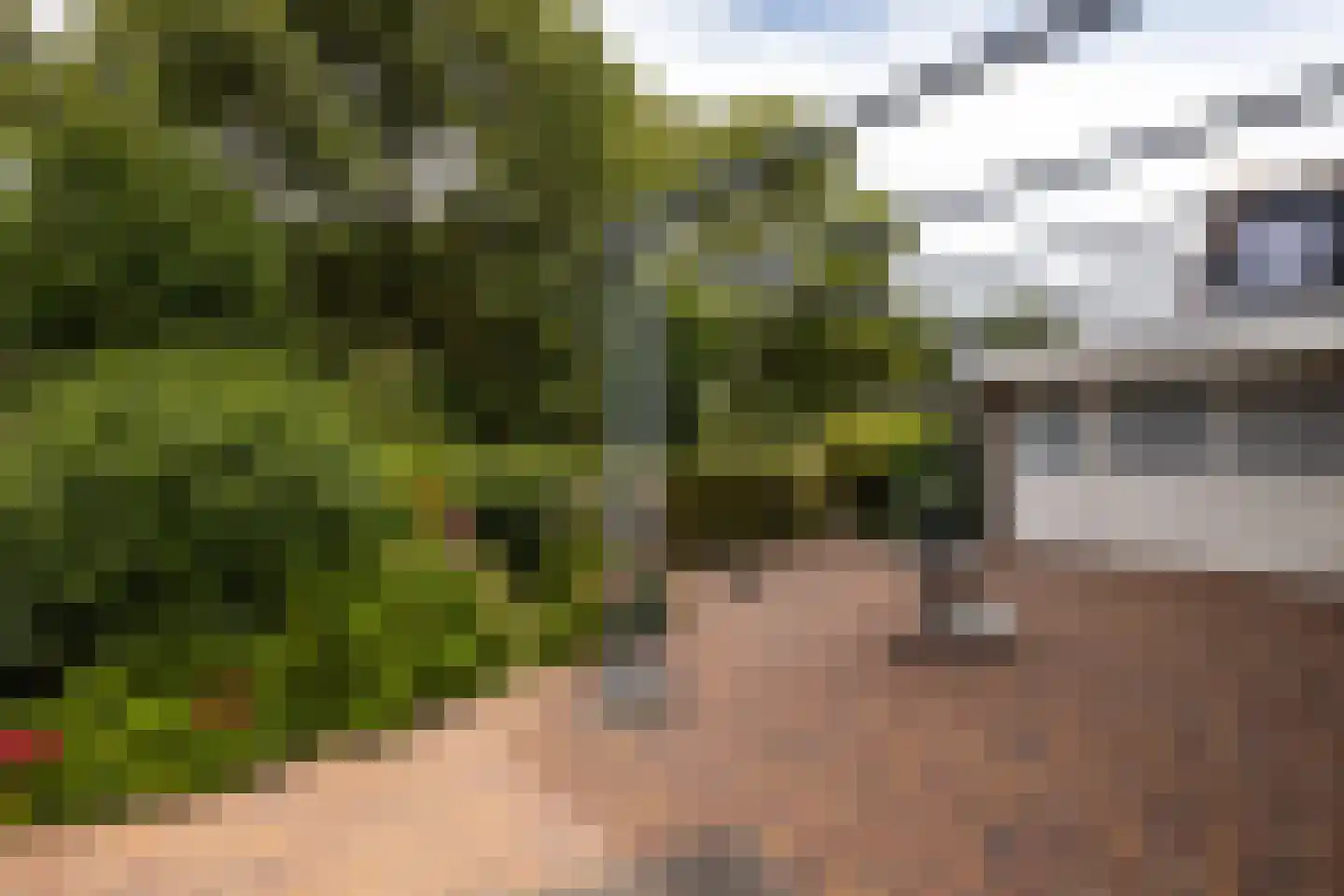 Woudveen 5 Wateringen thumbnail 38