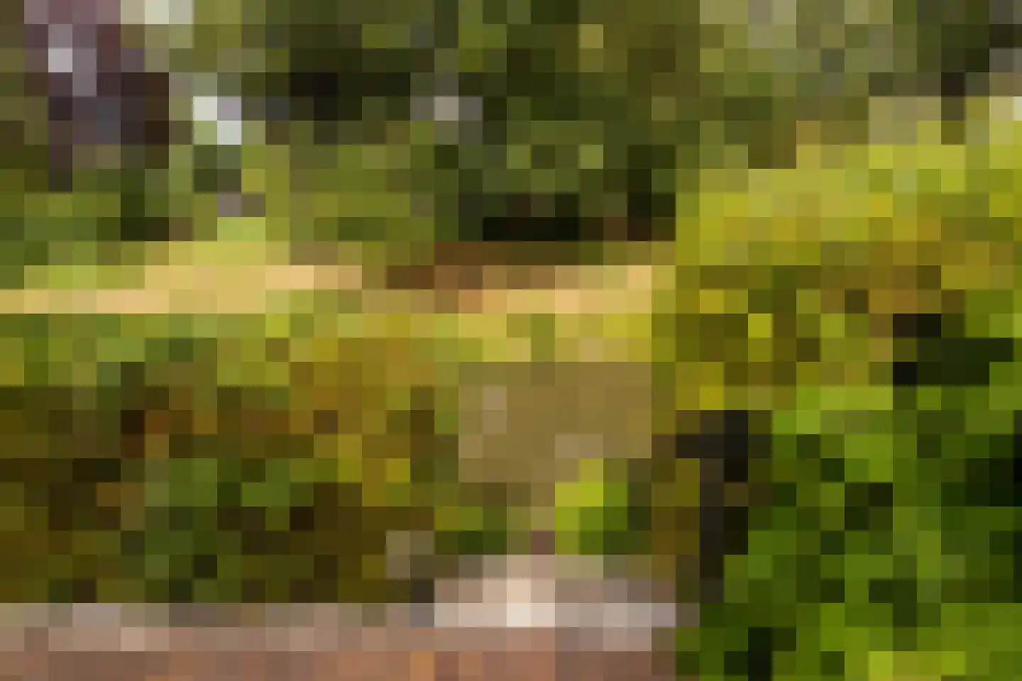 Woudveen 5 Wateringen thumbnail 39