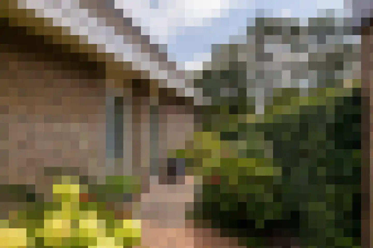 Woudveen 5 Wateringen thumbnail 41