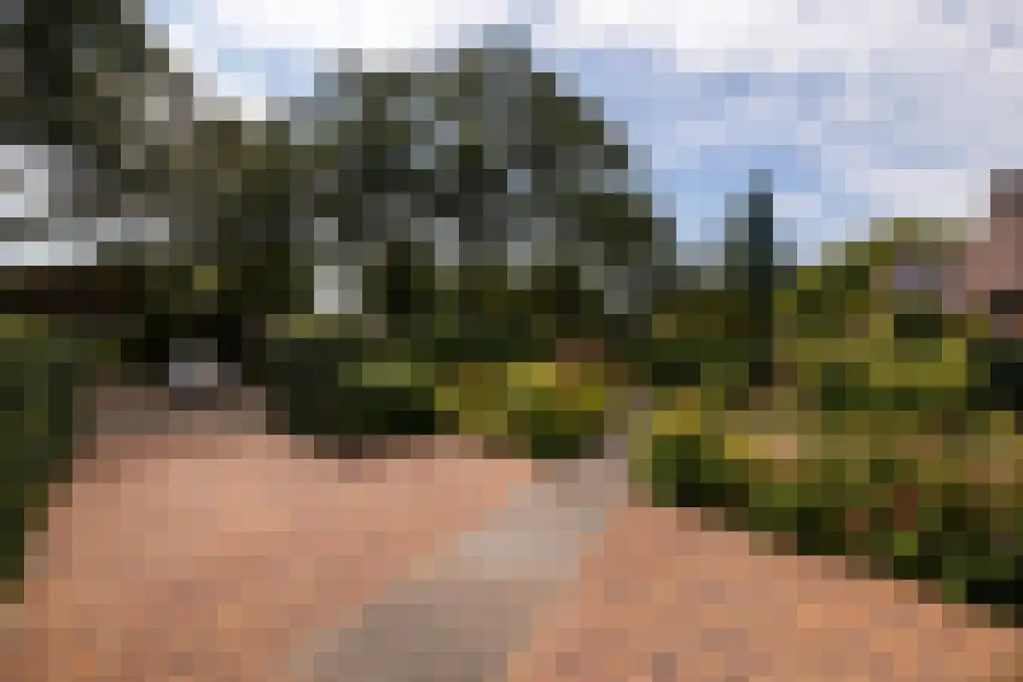 Woudveen 5 Wateringen thumbnail 43