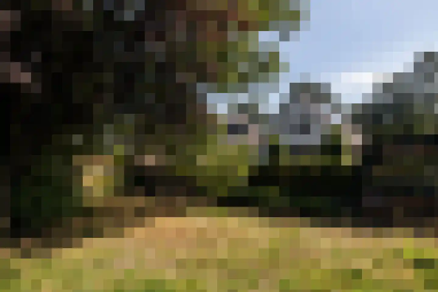 Woudveen 5 Wateringen thumbnail 48