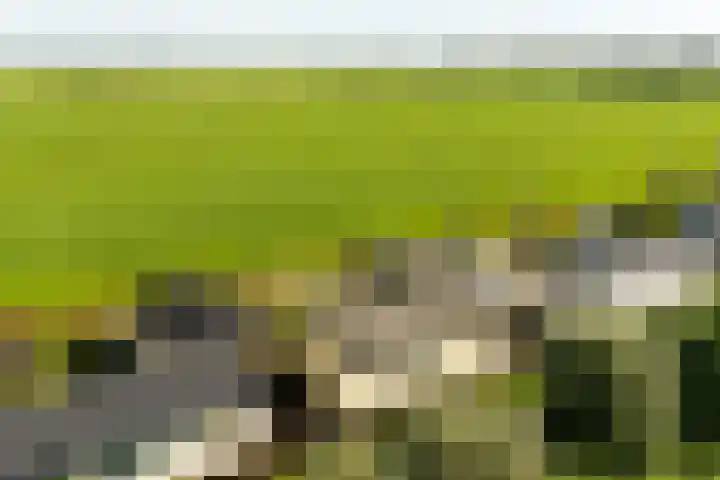 Woudweeren 27 WS Broek in Waterland thumbnail 23