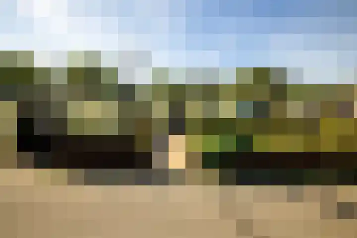 Woudweeren 27 WS Broek in Waterland thumbnail 4