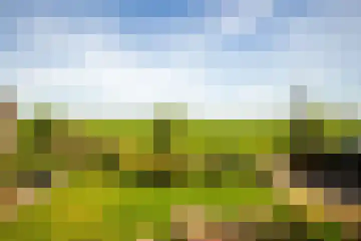 Woudweeren 27 WS Broek in Waterland thumbnail 5