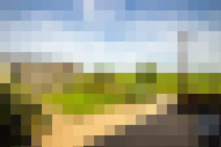 Woudweeren 27 WS Broek in Waterland thumbnail 6