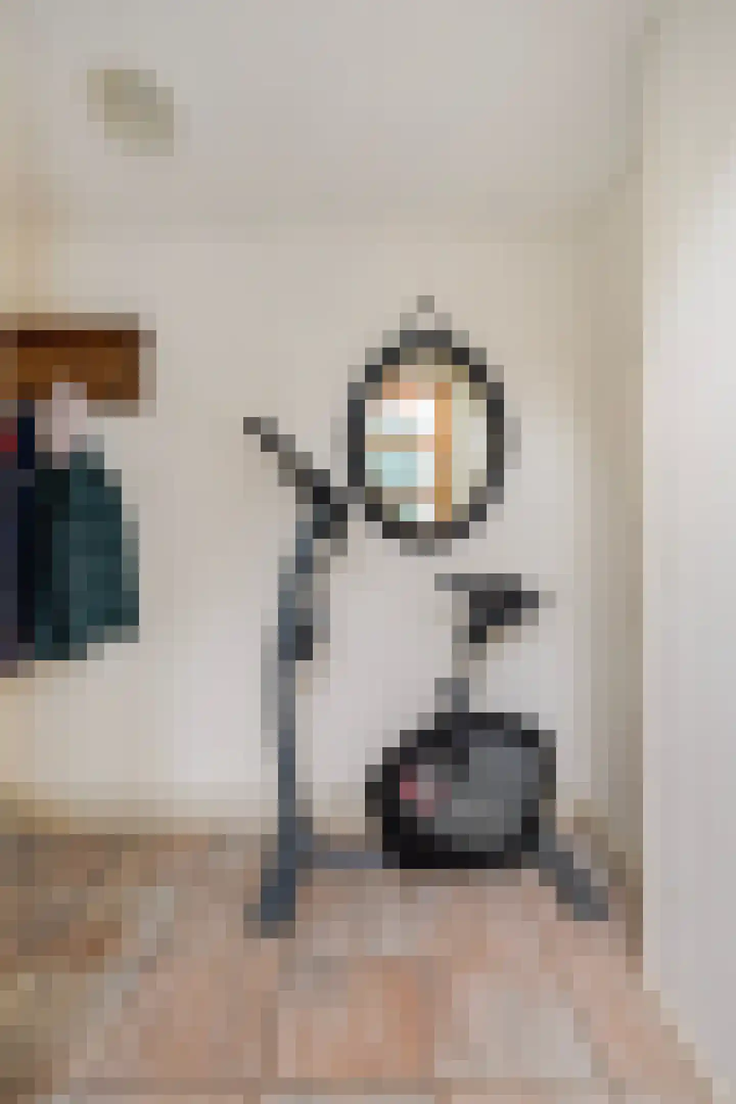 Woudweg 103 Dokkum thumbnail 34