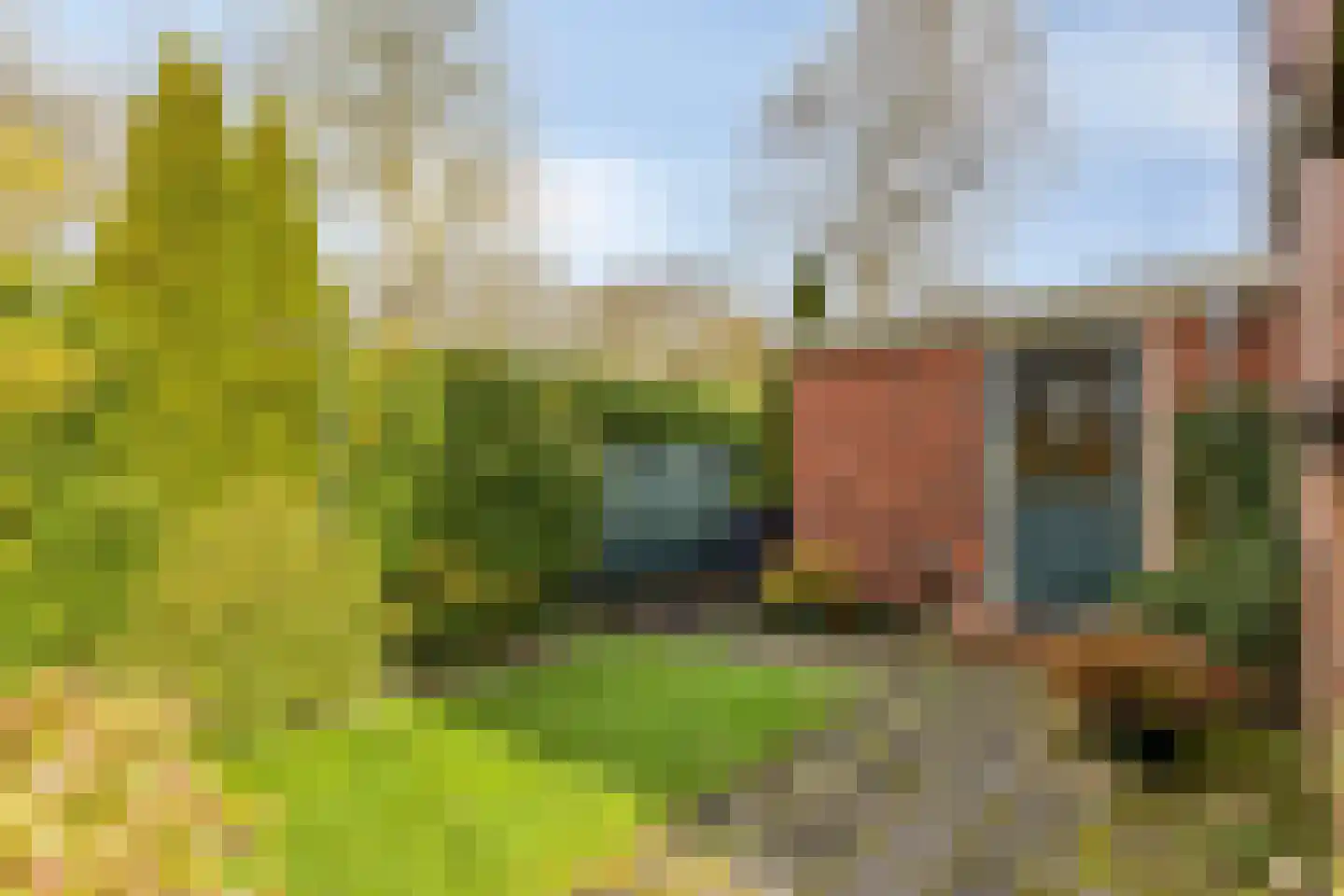 Woudweg 136 Dokkum thumbnail 24