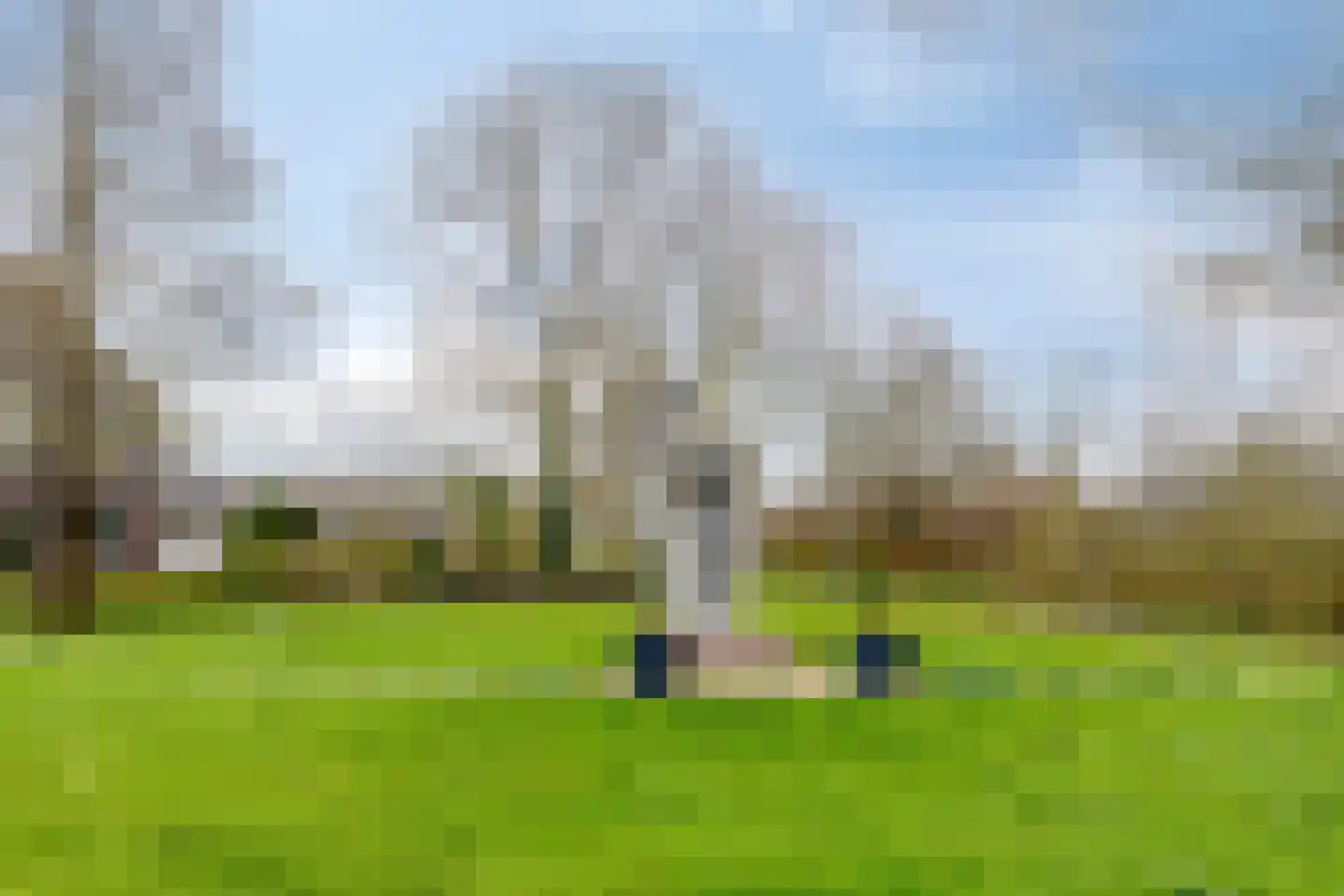Woudweg 136 Dokkum thumbnail 27