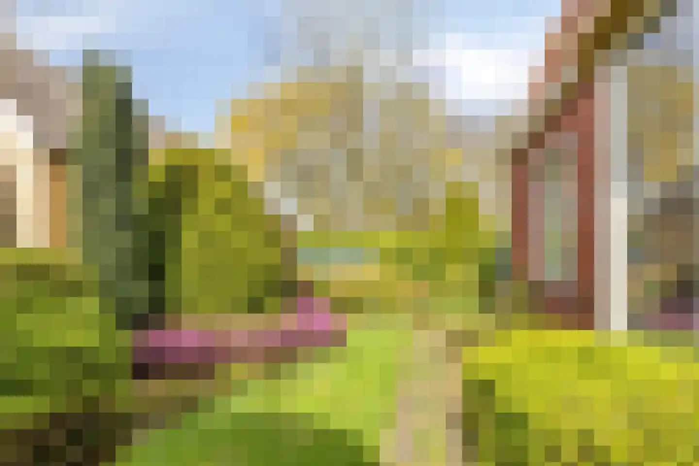 Woudweg 136 Dokkum thumbnail 6